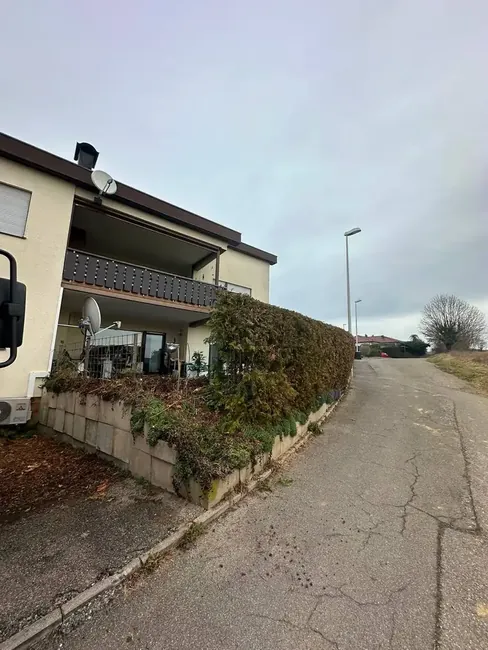 Alte Hecke entlang der Zufahrt vor dem Umbau