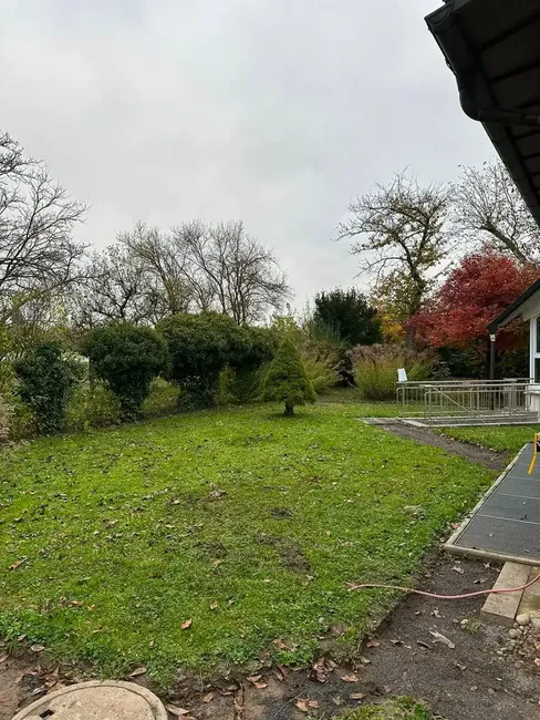 Gartenfläche vor dem Umbau